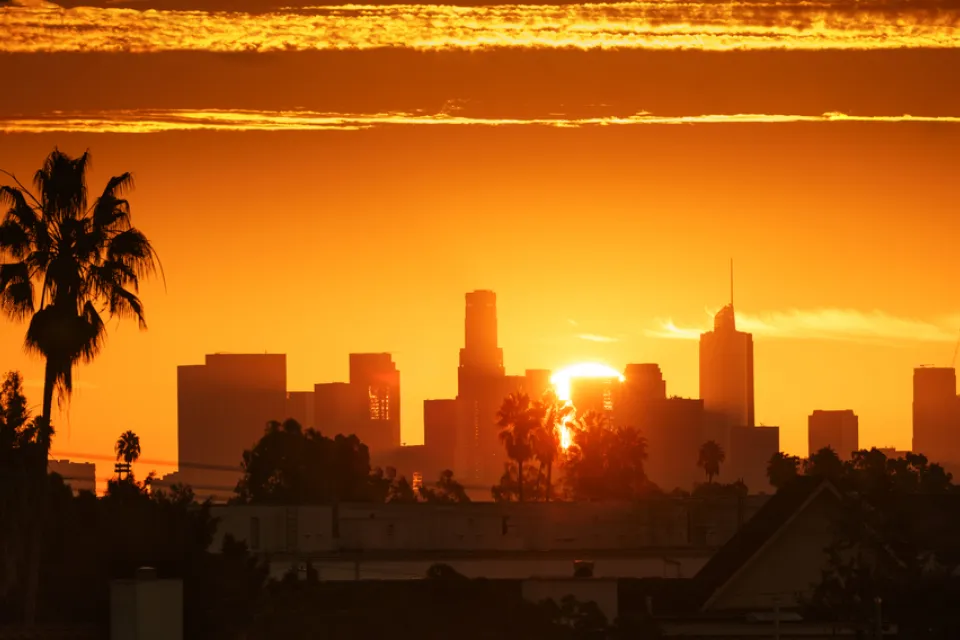 View of Los Angeles skyline against a bright orange sky with a palm tree at left